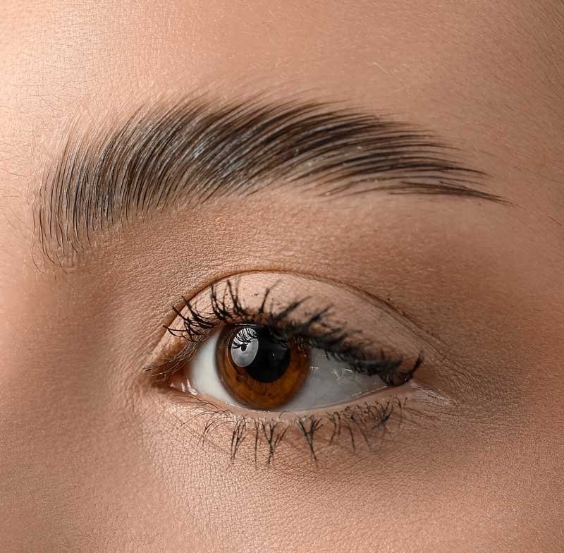 Brow Lamination & Tint in Frisco